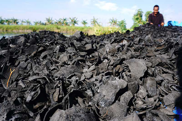 antarafoto-produksi-briket-dari-arang-batok-kelapa-280721-akbar-1